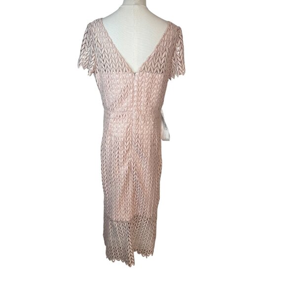 Kay Unger New York Size 10 Lace Overlay Dress Blush Pink Polyester Blend NWT - Picture 11 of 16